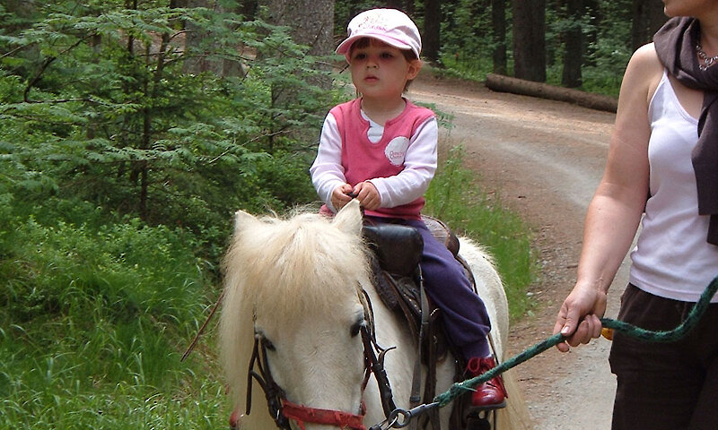 Ponyreiten im Bayerischen Wald